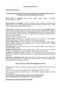 Sandėlis ir įrankių paruošimas nuomai