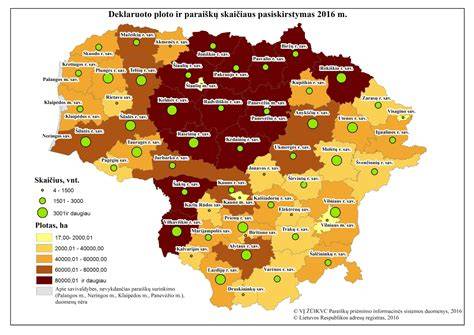 Infografika: rekonstrukcijos etapai, plotų pasiskirstymas, laikymo zonos