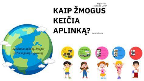 Padangų sandarinimo aerozolis infografika: kaip veikia ir kurias dalis reikia žiūrėti