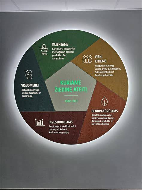 Infografika: akmens pjovimo procesas nuo žaliavos iki galutinio gaminio