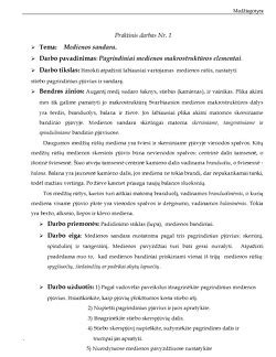Medienos makrostruktūros pavyzdys