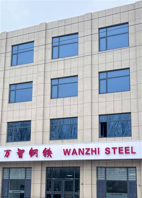 https://example.com/images/wanzhi-steel-tinkleliai.jpg