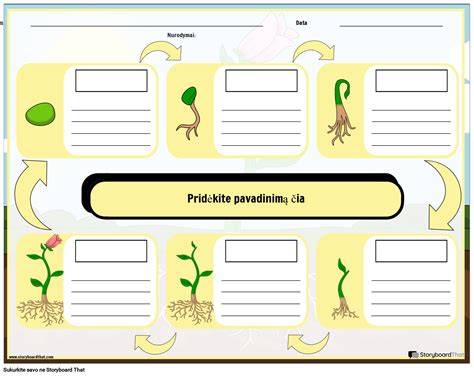Biologiškai skatina sugrįžimą į perdirbimą: schematinis gyvavimo ciklas