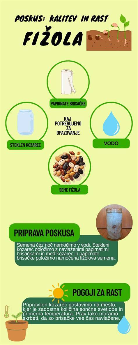 Infografika: Priesgaisrinių reikalavimų apžvalga fasadams