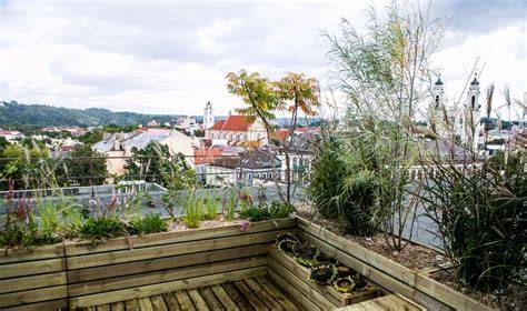 Panoraminė terasa su vaizdu į Vilniaus senamiestį