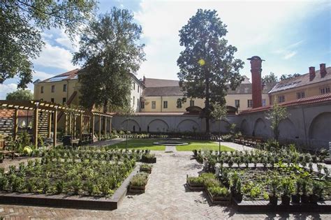 Bernardinų sodo kiemelis po gluosniais