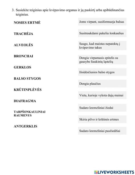 Rinkos opcionų palyginimo infografika: valikliai ir jų paskirtis