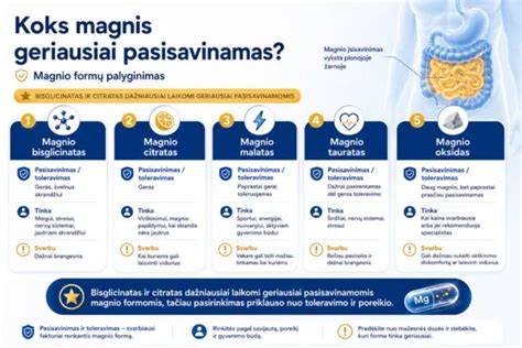 Infografika: Magnio formų palyginimas pagal pasisavinimą ir poveikį