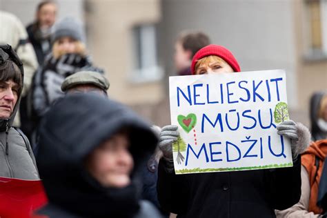 Infografika: Nuo kada iki kada draudimai dėl miškų kirtimo ir želdynų - datai ir regionai