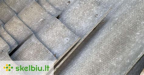 cementinis riedulys alpinariumui