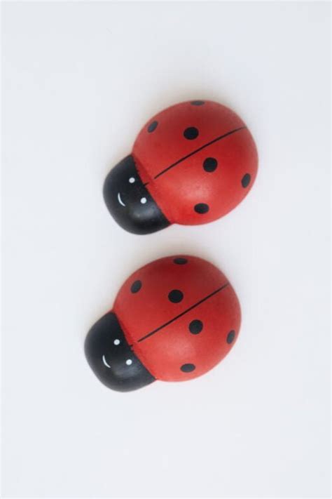 dekoratyviniai cementiniai boružėlės