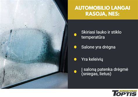 Infografika: priežastys, kodėl girgžda laminatas ir kaip tai išspręsti
