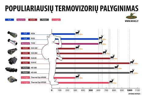 Paveikslėlis: populiariausių blakstienų ilgių palyginimas