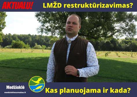 Infografika: MDF struktūra, sluoksniai ir dengimo galimybės