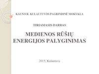 Geriausių klijų rūšių palyginimas lentelėje