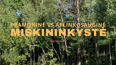 Pramoninė distiliacija vs laikas senovė
