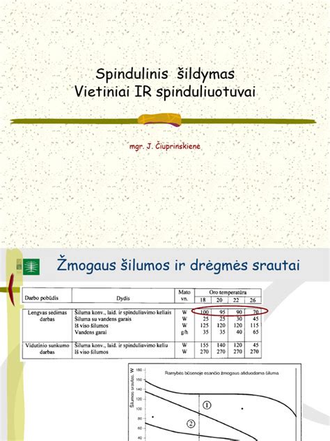 spindulinis sildymas plokstes montavimas