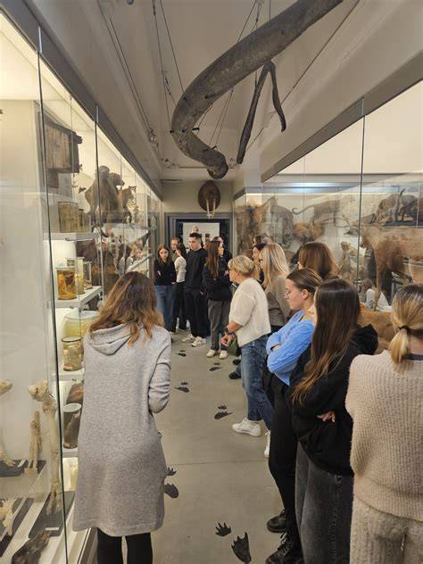 Vabzdžių bendrijų įvairovė zoologijos muziejuje