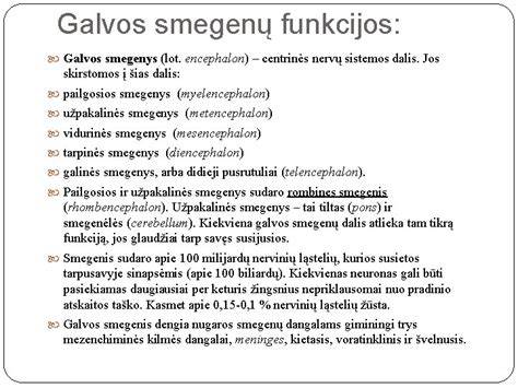 Infografika: išmetimo sistemos dalys ir jų funkcijos