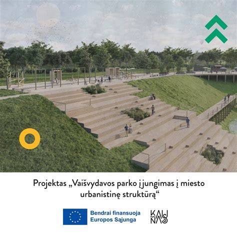 Infografika: Parko grindų įrengimo ir atnaujinimo etapai