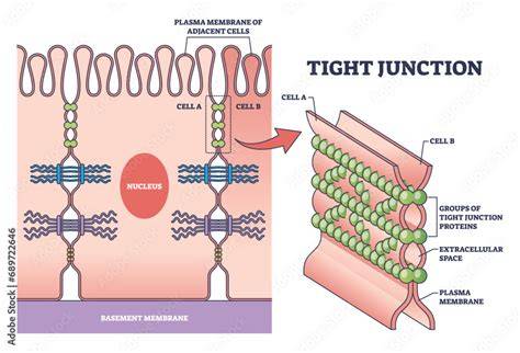 image/peikko_junctions_diagram
