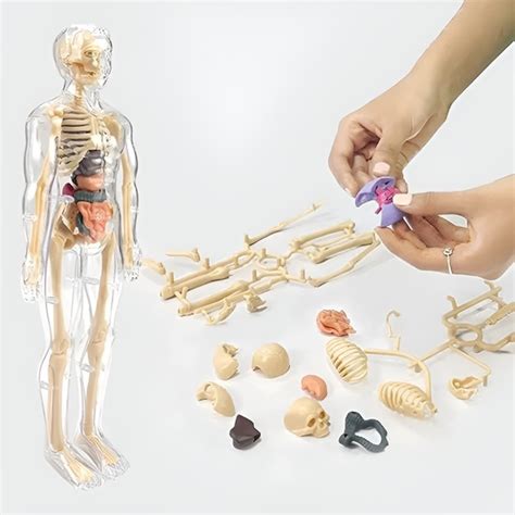 3D spausdintas rėmo modelis - pavyzdys, kaip suplanuoti kūno segmentus