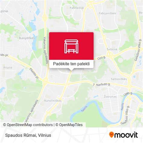 Vizualinis apžvalgos žemėlapis: spaudos apdailos metodų įvairovė