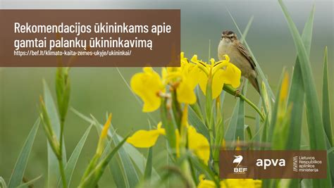 Kompozitinio kolektoriaus bazinio komplekto nuotrauka (iliustracinė)