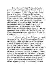 Knygos iliustracija: trinkelių klojimo proceso fazės