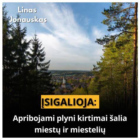 Infografika: epoksidinio klijavimo procesas, mišinio santykis 1:1, galimas naudojimo temperatūrų diapazonas