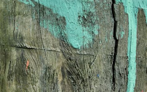 medienos impregnavimo procesas