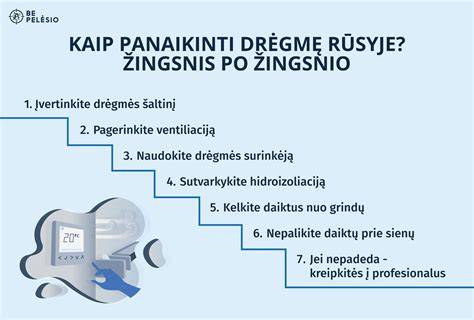 Infografika: drėgmės kilmė rūsyje ir sprendimų hierarchija