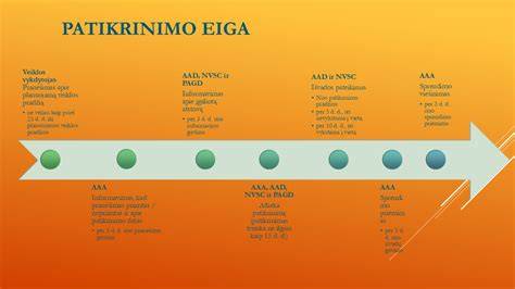 Sąsajų su kitais tikrumo įrodymais patikrinimo procesas schematic