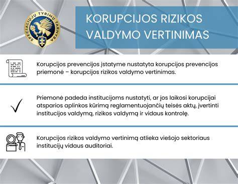 Infografika: Korupcijos rizikos ir prevencijos mechanizmai privačiame sektoriuje