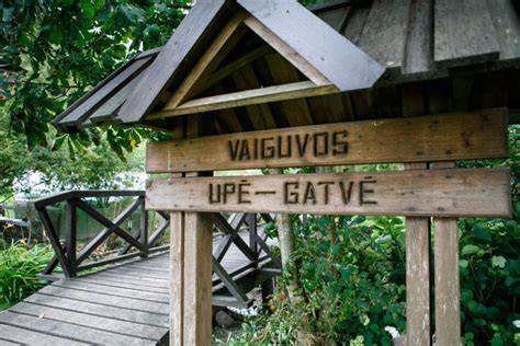 Vaiguvos upės gatvė Plokščiuose