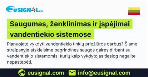 Infografika: movų tipai ir jų pritaikymas vandentiekio sistemose