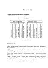 Infografika: cemento rūšys ir jų panaudojimas