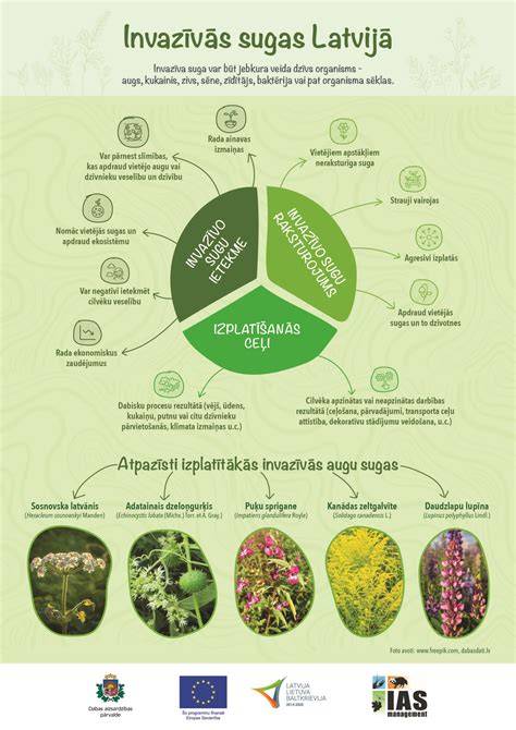 Infografikas: “3 paprasti žingsniai nuvalyti pleistro klijus nuo odos”