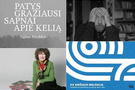 Knygų ir vinilo deriniai - informacinė schema.