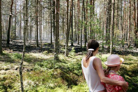Aliuminio laidų pavojų ir galimų gaisrų rizikos iliustracija