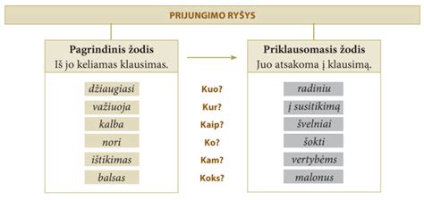 Žodžių junginiai: plokščiusis paviršius, plokščioji spauda, plokščioji nosis