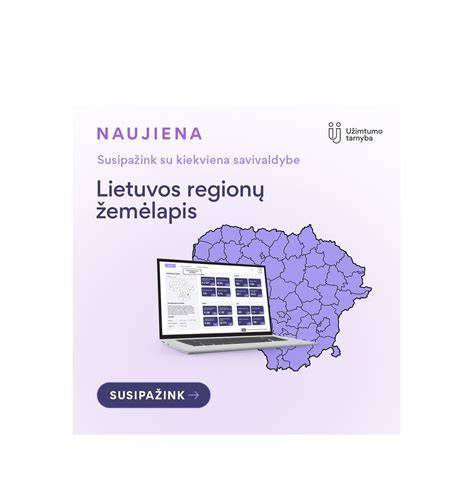Infografika: Vokietijos investicijų srautai į Lietuvą ir regionų pasiskirstymas