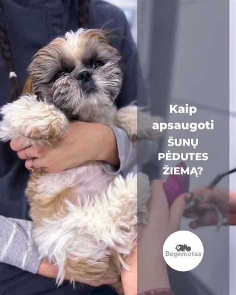 Betonavimo žiemos metu įranga ir apsauga nuo šalčio