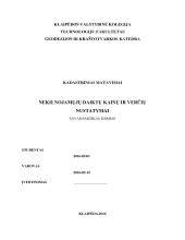 Kainų nustatymas ir nuomos laikotarpiai - pavyzdinė schema