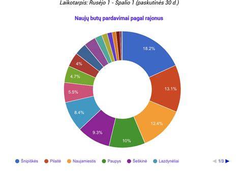 Infografika: Kauno siurblių nuomos rinkos apžvalga
