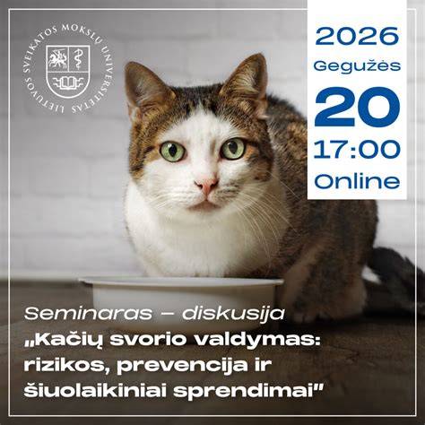 Infografika: Šiferio lakštų svorio ir dydžių santykis