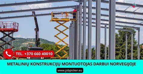 Metalinių konstrukcijų ir durų projektų infografika
