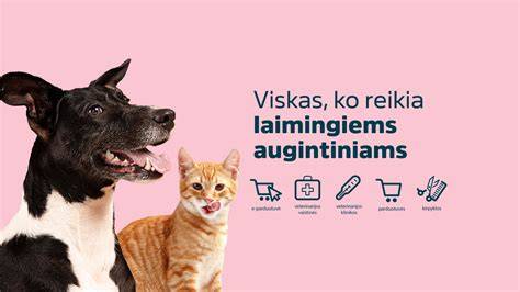 Infografika: kaip asbesto skaidulos patenka į kvėpavimo takus
