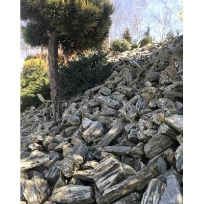 Dekoratyvinė skalda ir augalai