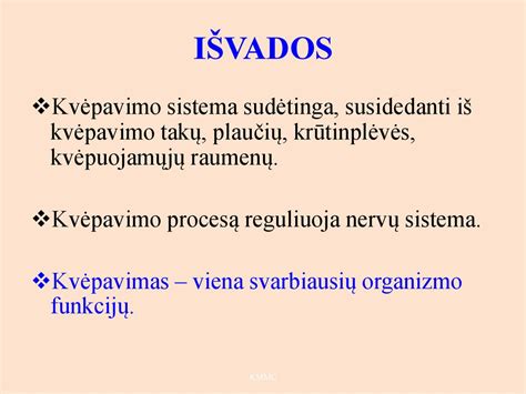 Ašarų takų sistema